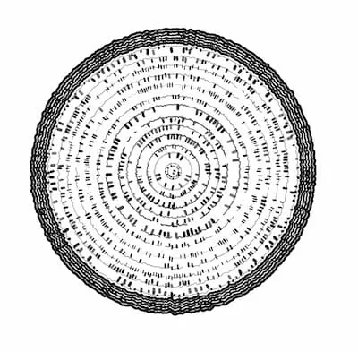 close concentric circles, some of which are overlapped by randomly positioned small strokes