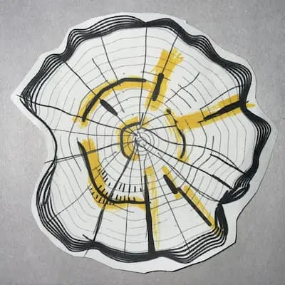 a printout of a wobbly set of tree rings